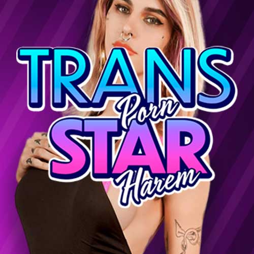 Trans Pornstar Harem - Image 2